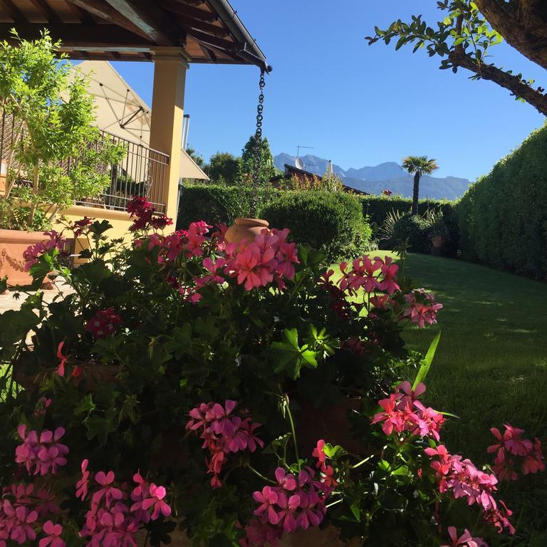 Bed and Breakfast Relais Di Alice- Adults Only Форте-деи-Марми Экстерьер фото